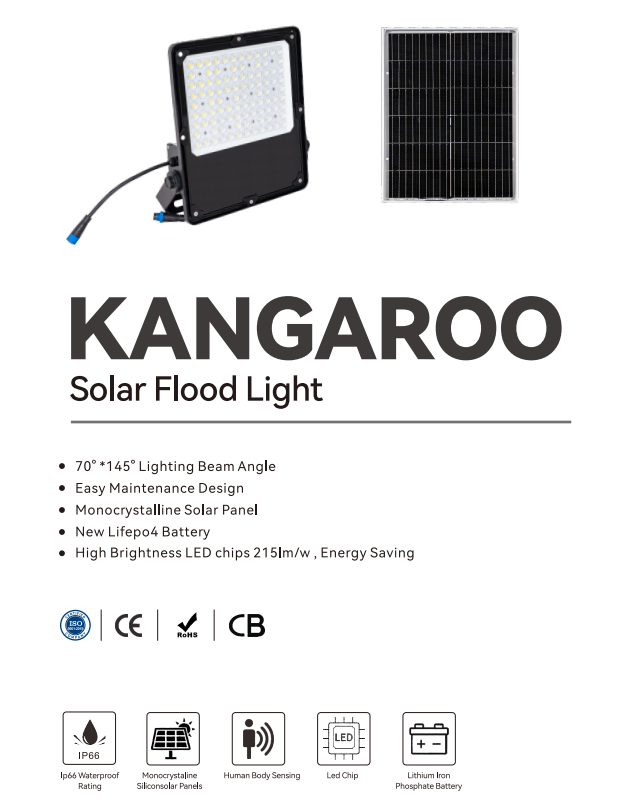  60w solar flood light
